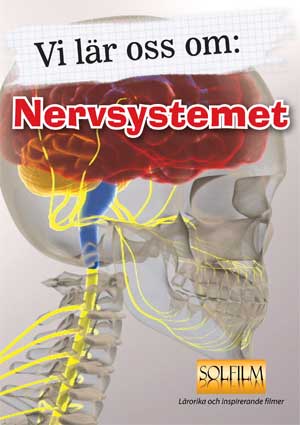 Play Nervsystemet Vi L R Oss Om