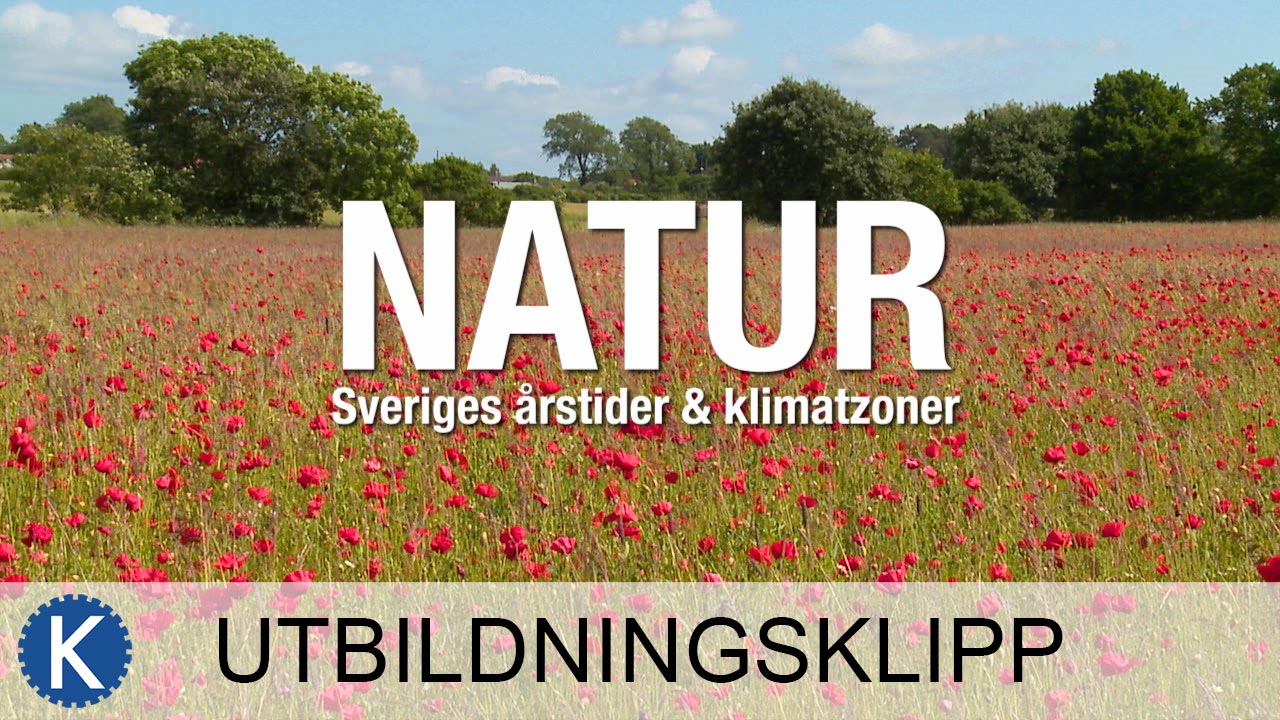 Play / Natur - Sveriges årstider & Klimatzoner